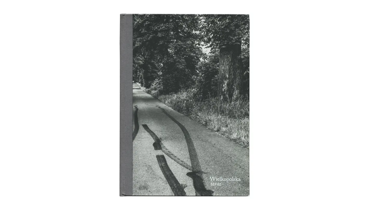 Wielkopolska teraz - album fotografii - ZPAF Okręg Wielkopolski 2015
