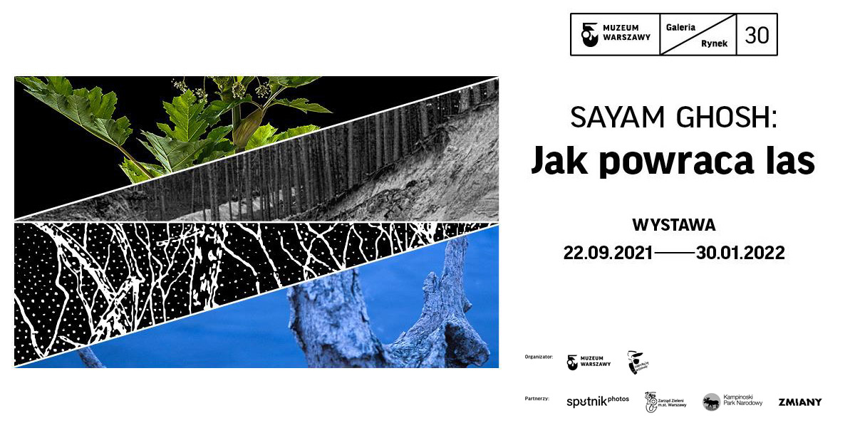 Sayam Ghosh - Jak powraca las - wystawa fotografii Galeria Rynek 30 Warszawa