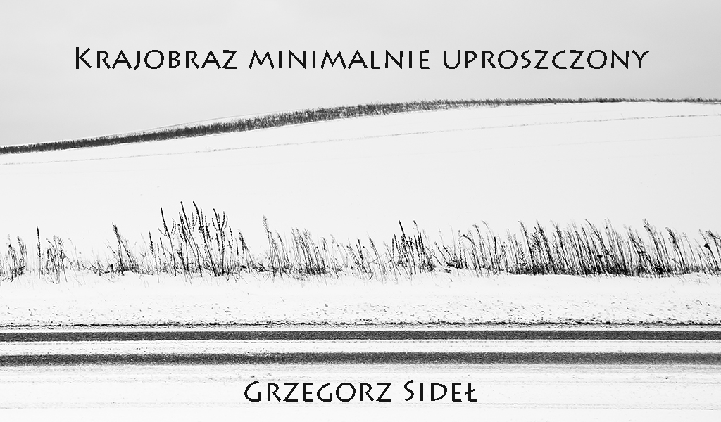 Grzegorz Sideł - Krajobraz minimalnie uproszczony IV - wystawa fotografii