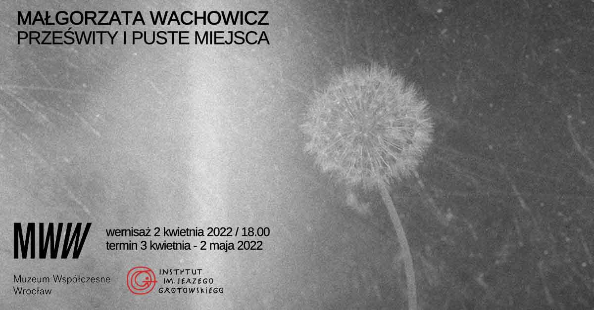 Małgorzata Wachowicz - Prześwity i puste miejsca - wystawa fotografii Muzeum Współczesne Wrocław