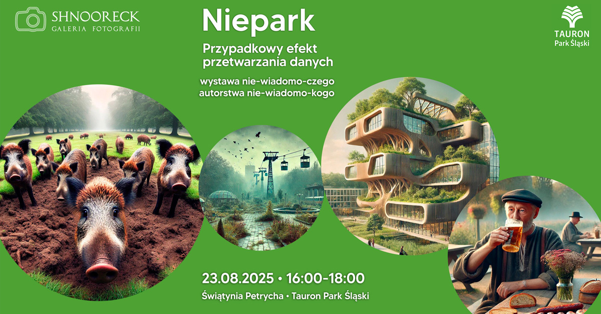 Marcin Zimnal - Niepark. Przypadkowy efekt przetwarzania danych - wystawa fotografii Galeria Shnooreck Świątynia Petrycha Tauron Park Śląski Chorzów