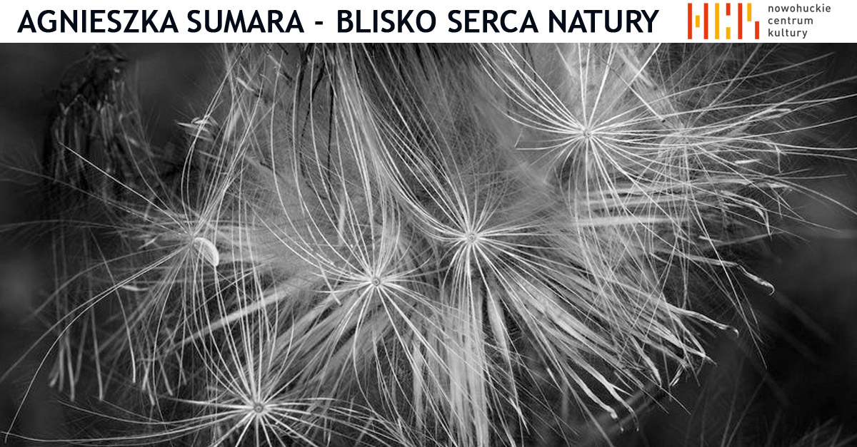 Agnieszka Sumara - Blisko serca natury - wystawa fotografii Foto Galeria NCK Nowohuckie Centrum Kultury Kraków