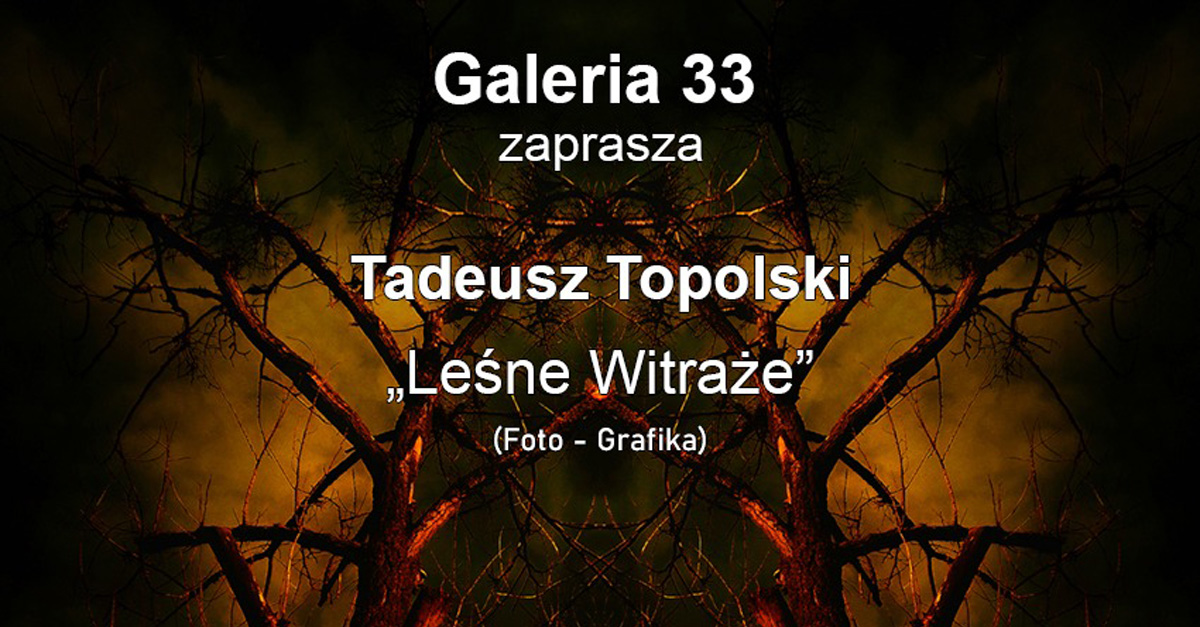 Tadeusz Topolski – Leśne Witraże - wystawa fotografii Galeria 33 Ostrów Wielkopolski