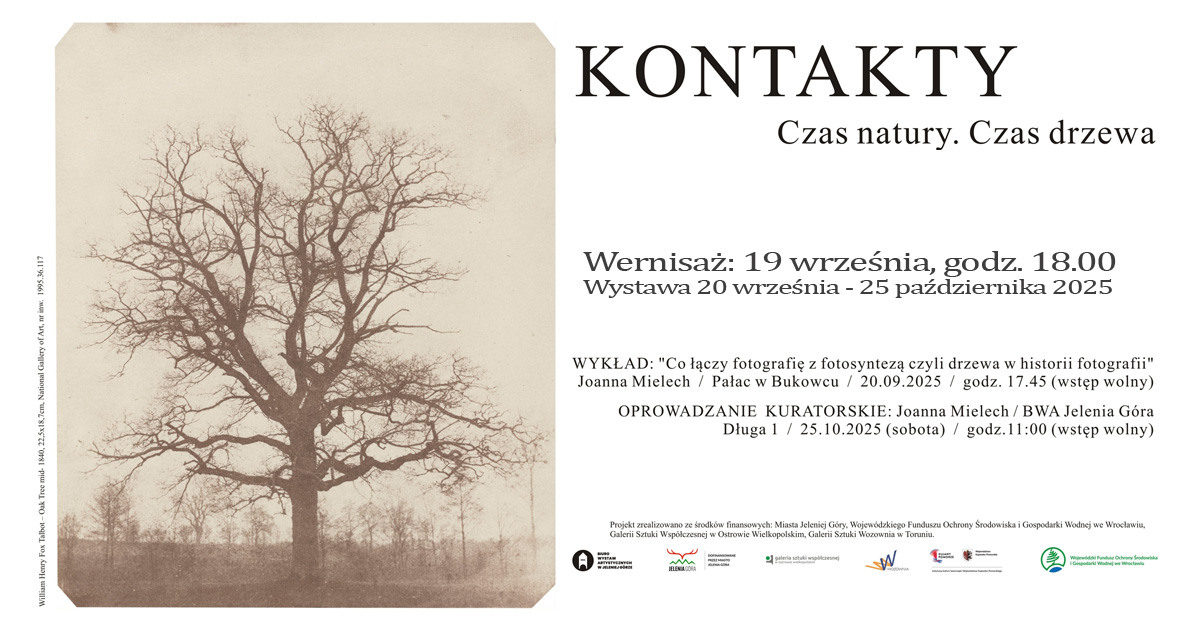 Kontakty. Czas natury. Czas drzewa - wystawa fotografii Galeria BWA Jelenia Góra