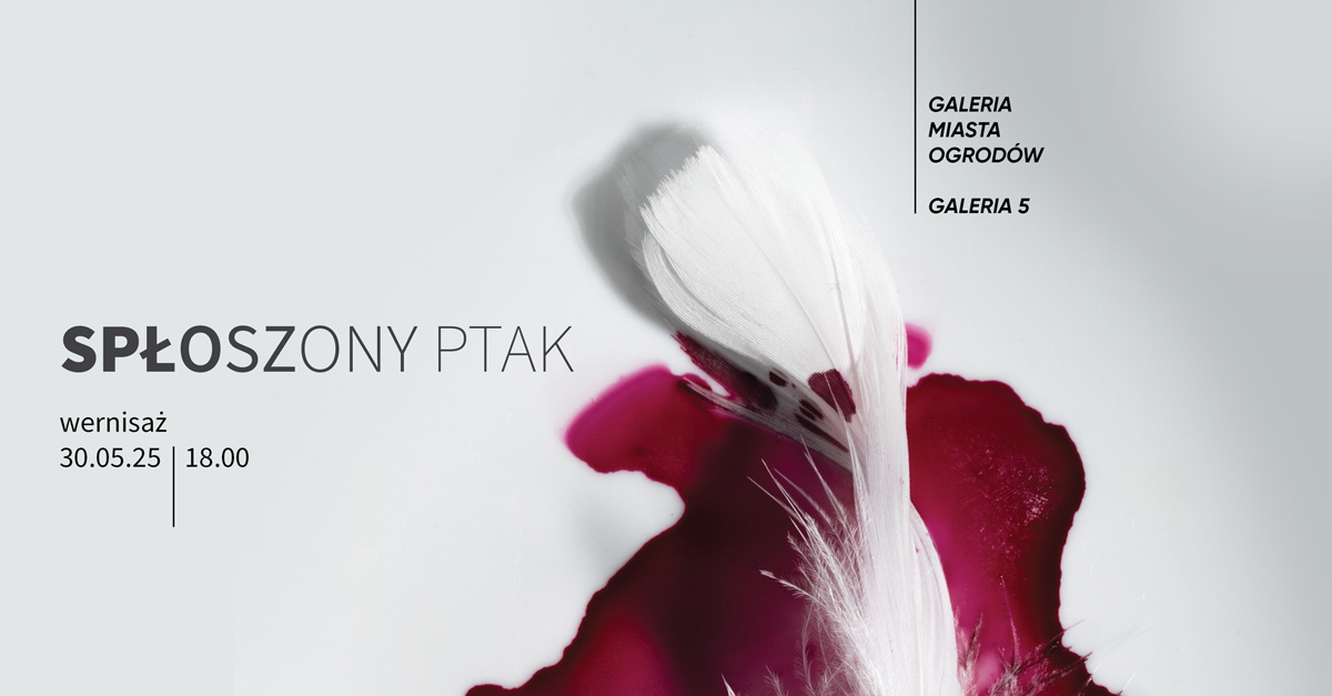 Spłoszony ptak - wystawa fotografii Galerii 5 Katowice Miasto Ogrodów Katowice