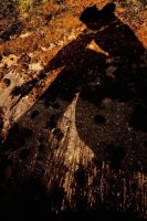 Kamila Sammler - jaCień