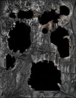 Andrzej Dudek-Dürer, Czarne Dziury De-Materializacji, Sztuka popiołu z żywej rzeźby, instalacja metamaterialfizyczna 1471-2022 , 1969