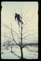 Władysław Hasior. Stwarzanie świata