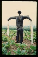 Władysław Hasior. Stwarzanie świata