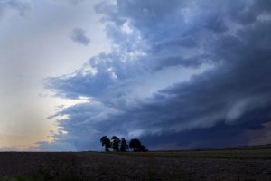 Oliwia Cieniuch - Magia krajobrazu