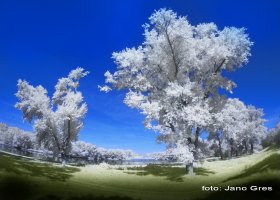 XIII Międzynarodowa Przeglądowa Wystawa Fotografii