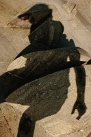 Kamila Sammler - jaCień