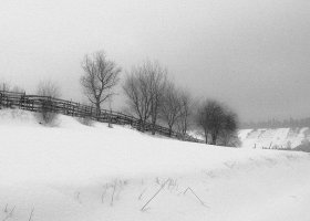 Mirosław Rak - Fotografia ojczysta wiek XXI