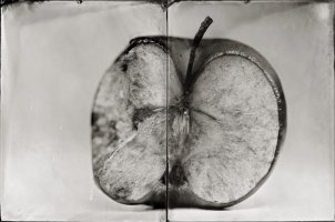 Przegląd fotografii w technikach dawnych i alternatywnych