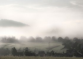 Mirosław Rak - Fotografia ojczysta wiek XXI