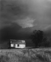 100 x 100. Stefan Arczyński