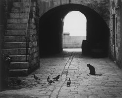 100 x 100. Stefan Arczyński