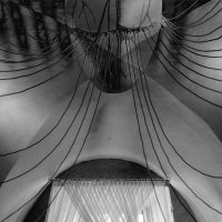 Marek Kucharczyk - Wieloświaty