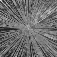 Marek Kucharczyk - Wieloświaty