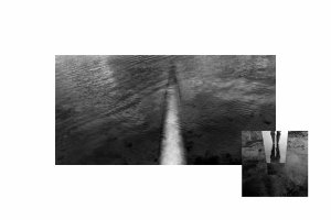 Marek Kucharczyk - Myśli bezwiedne