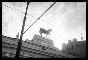 fot. Bartłomiej Talaga