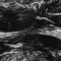 13. Opolski Festiwal Fotografii Echa 2023