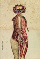 Magda Hueckel - Organic