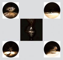 Kamila Rosińska-Balde - Jako na górze, tak i na dole (Wierzę w noce)