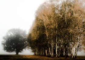 Mirosław Rak - Fotografia ojczysta wiek XXI