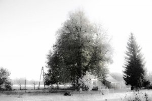 Mirosław Rak - Fotografia ojczysta wiek XXI