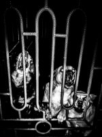 Marcin Mirosławski - The Specter Of Life 2. Widmo życia