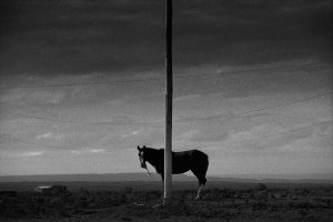 5. Anita Andrzejewska, z cyklu Outside Inn, fotografia w technice srebrowej, 2020