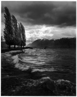 Christian Coigny - Poza cieniem