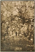 Adam Fleks - Transcendencje. Oliwa