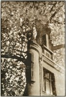 Adam Fleks - Transcendencje. Oliwa