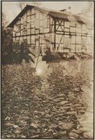 Adam Fleks - Transcendencje. Oliwa