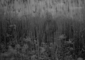 Andrzej Grudzień - Tożsamość