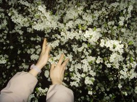 Anka Jaworska - Cały dotąd niedostrzegany gwar świata