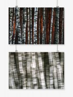 Anna Worowska - Rytmy