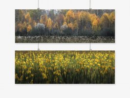 Anna Worowska - Rytmy