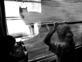 Anna Lewańska - Skutki uboczne