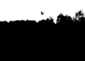 Antoni Kreis - Fotografia/70