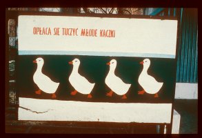 Władysław Hasior. Stwarzanie świata