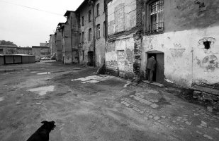 Arkadiusz Gola - Drogi