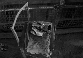 Arkadiusz Gola - Ogrodowa 1