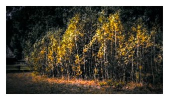 Tomek Sikora - Widzenie Świata Sikory