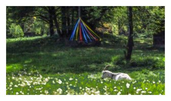 Tomek Sikora - Widzenie Świata Sikory