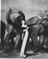 Richard Avedon (1923-2004)