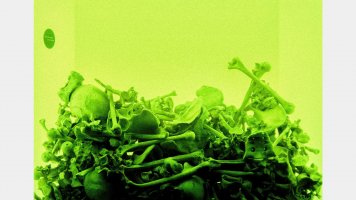 tot. Michał Szalast - Aquanautica