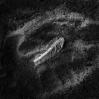 Jolanta Rycerska - Bajki niczyje